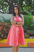 Padmini Gallery